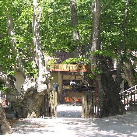Albergo Ristorante Montecucco Da Tobia Sigillo Dış mekan fotoğraf