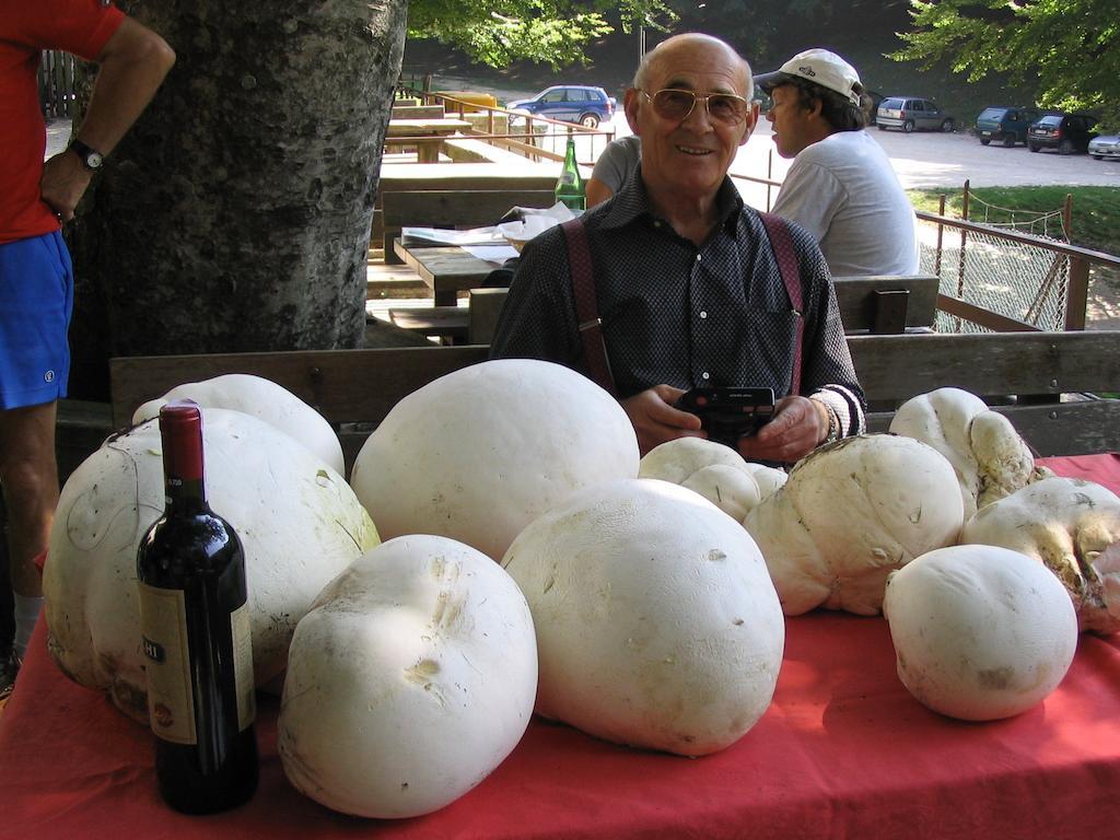 Albergo Ristorante Montecucco Da Tobia Sigillo Dış mekan fotoğraf