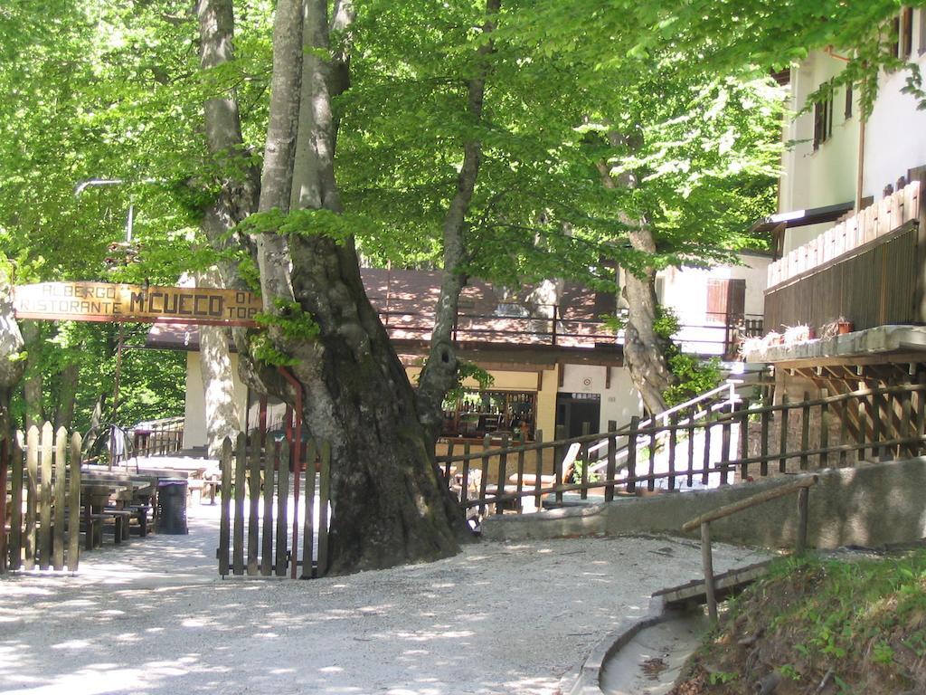 Albergo Ristorante Montecucco Da Tobia Sigillo Dış mekan fotoğraf